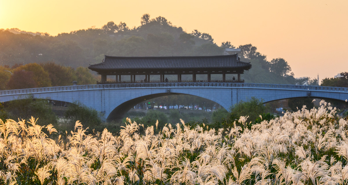 전주 남천교에서 봉동 상장기공원까지