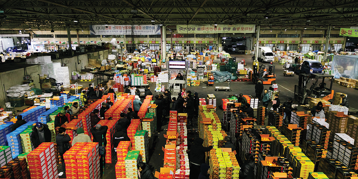 싱싱한 농산물, 생생한 소리로 팝니다