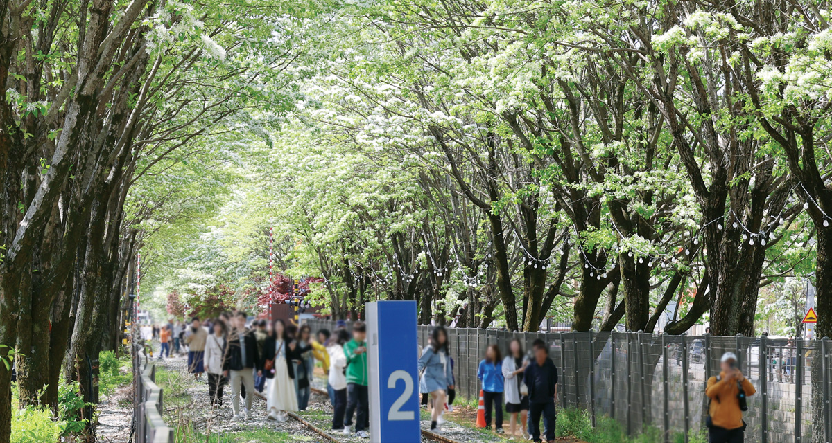 지금, 우리의 축제