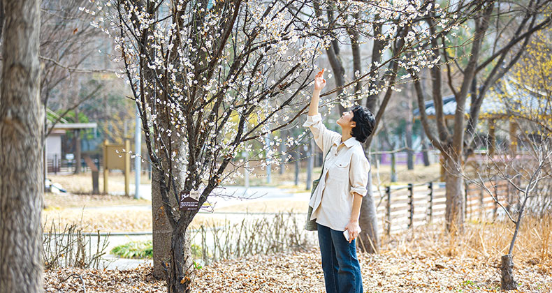 겨울이 다하고 봄이 오려는데 썸네일이미지