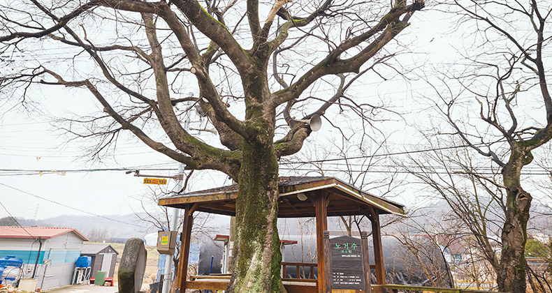 시대에 발맞추는, 시대를 뛰어넘는 길을 걷다 썸네일이미지