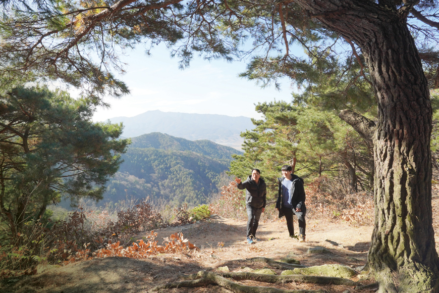 소나무 산에서 학의 마음을 품다 썸네일이미지