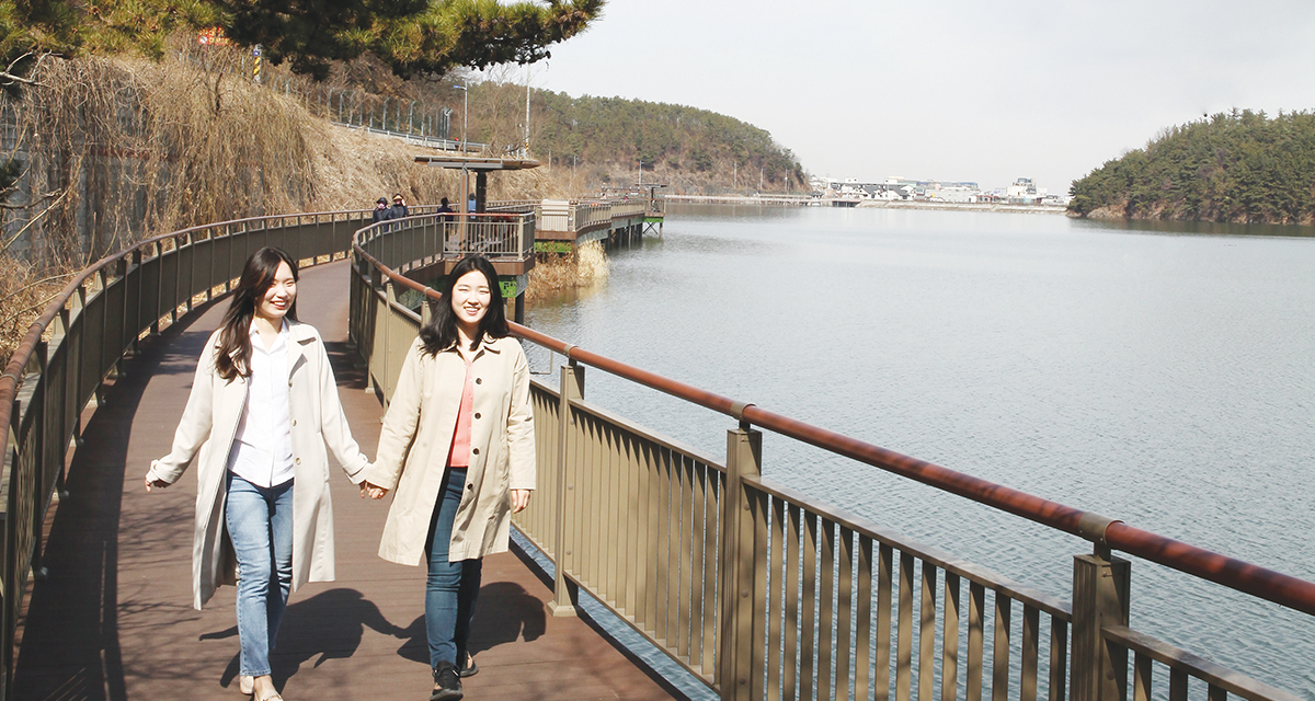 가로지르지 않는 풍경의 가치 썸네일이미지
