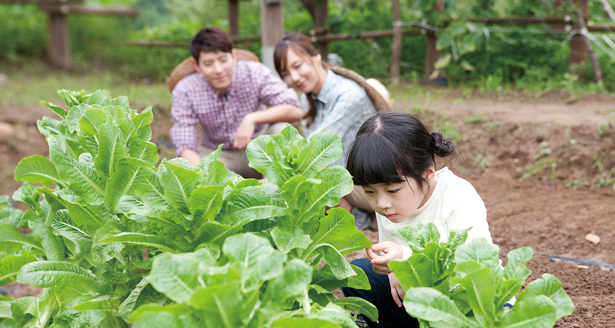 토닥토닥 괜찮아, 초록이 전하는 위로 ‘치유농장’ 썸네일이미지