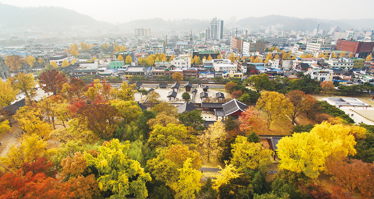 도시는 움직인다 도시가 성장한다 썸네일이미지